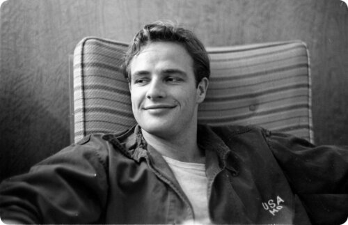 Overview of the roles of Marlon Brando